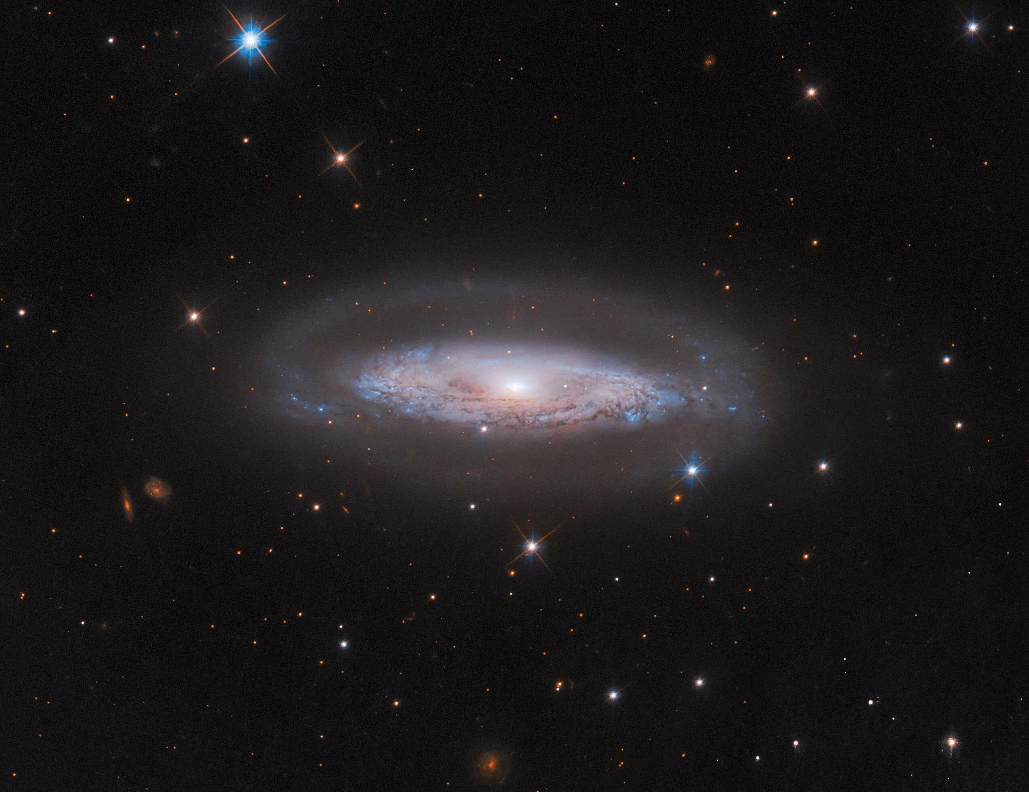 A row of budget telescopes ready for beginner stargazers, aligned under a dark night sky.