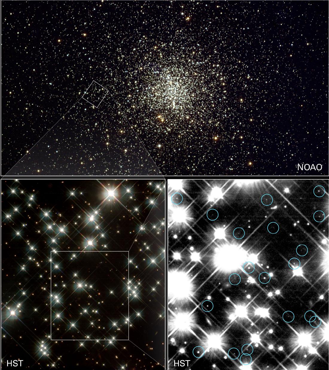 Bright star Altair at the centre of the Aquila constellation against a dark summer sky — the Eagle's brightest star is easily visible to the naked eye even from urban locations
