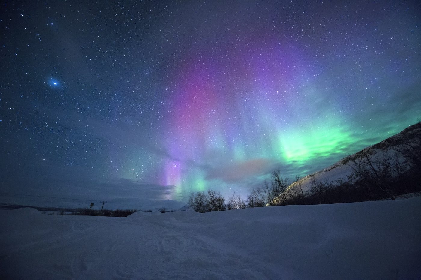 Aurora borealis — brilliant green and purple curtains of northern lights dancing across a dark starry sky, photographed from a dark-sky location during Solar Cycle 25 maximum