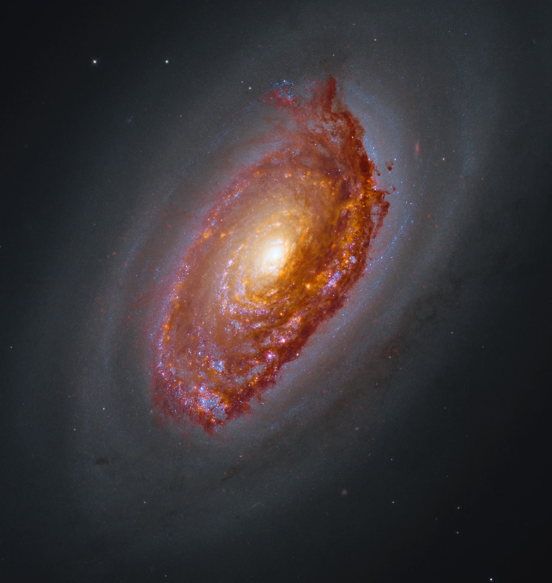 The Black Eye Galaxy (Messier 64) as seen in a new composite image from NASA's Hubble and Webb space telescopes — a yellow core surrounded by orange-brown dust with pink star-forming regions
