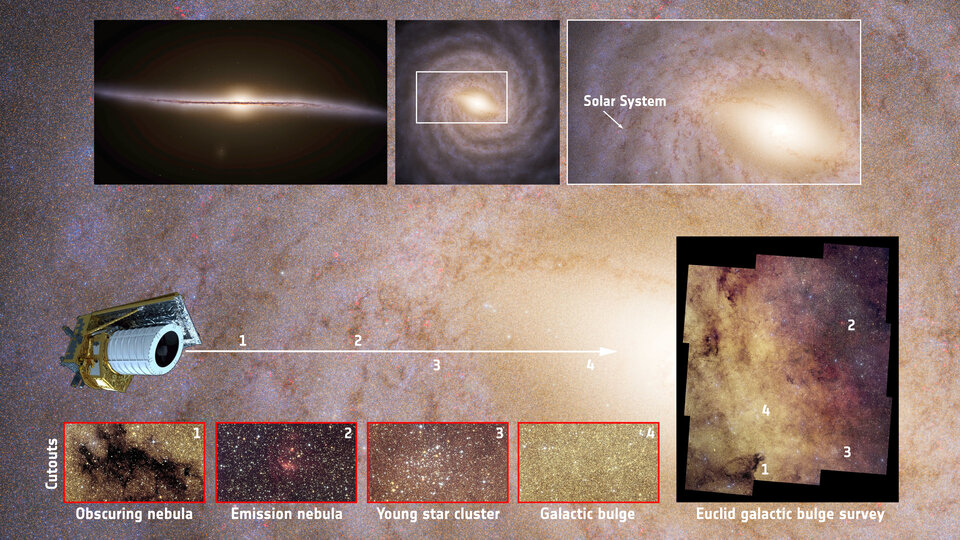 Infographic explaining the ESA Euclid Galactic Bulge Survey — showing the survey coverage area, how gravitational microlensing detects exoplanets, and the connection to NASA Roman Space Telescope's future observations of the same region