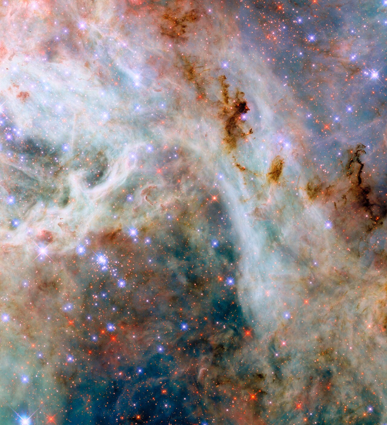 The Whirlpool Galaxy M51 as captured by the Hubble Space Telescope — a classic spiral galaxy with a smaller companion NGC 5195 at the tip of one arm