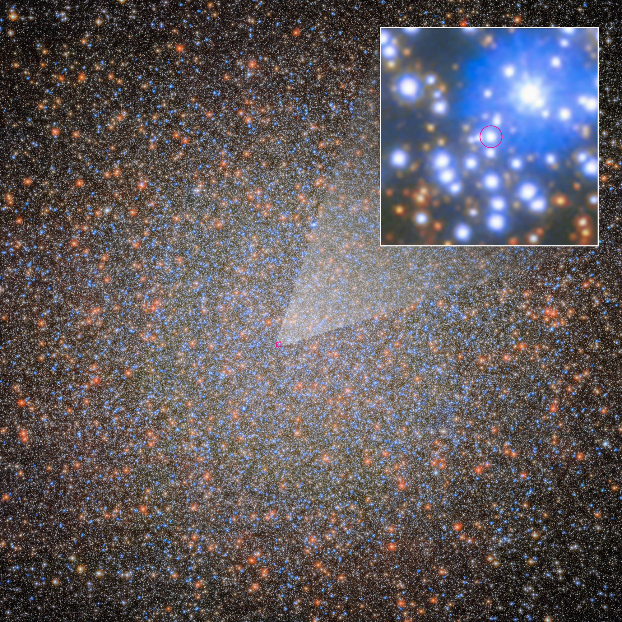 Hubble Space Telescope image of the globular cluster Omega Centauri — a dense field of myriad stars coloured red, white, and blue on the black background of space. A small red square frame near the centre connects to a pullout showing the precise location of the star orbiting black hole oMEGACat BH-2.