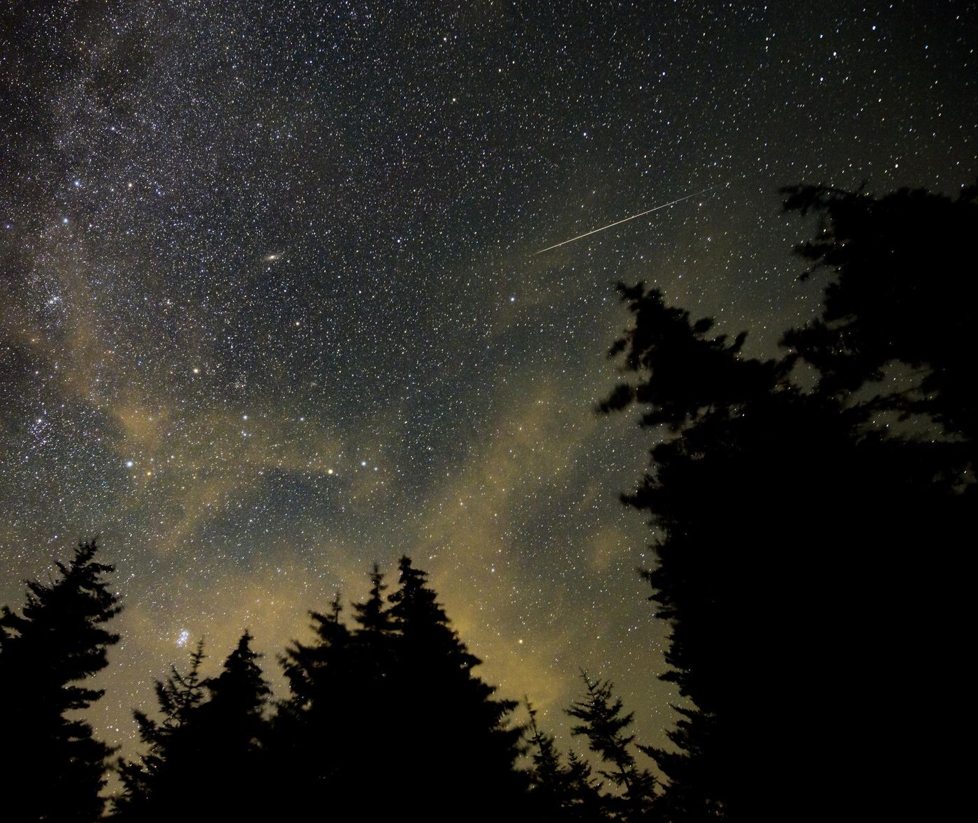 The Milky Way, the Andromeda Galaxy and a Perseid meteor above a spruce forest, the kind of Appalachian sky reachable from New York City