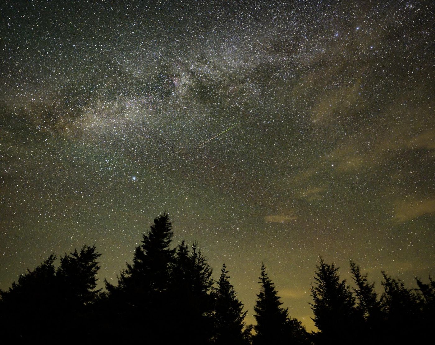 The Milky Way arching over a dark tree line with a Perseid meteor, the kind of sky the Hill Country west of Austin shows on a clear night