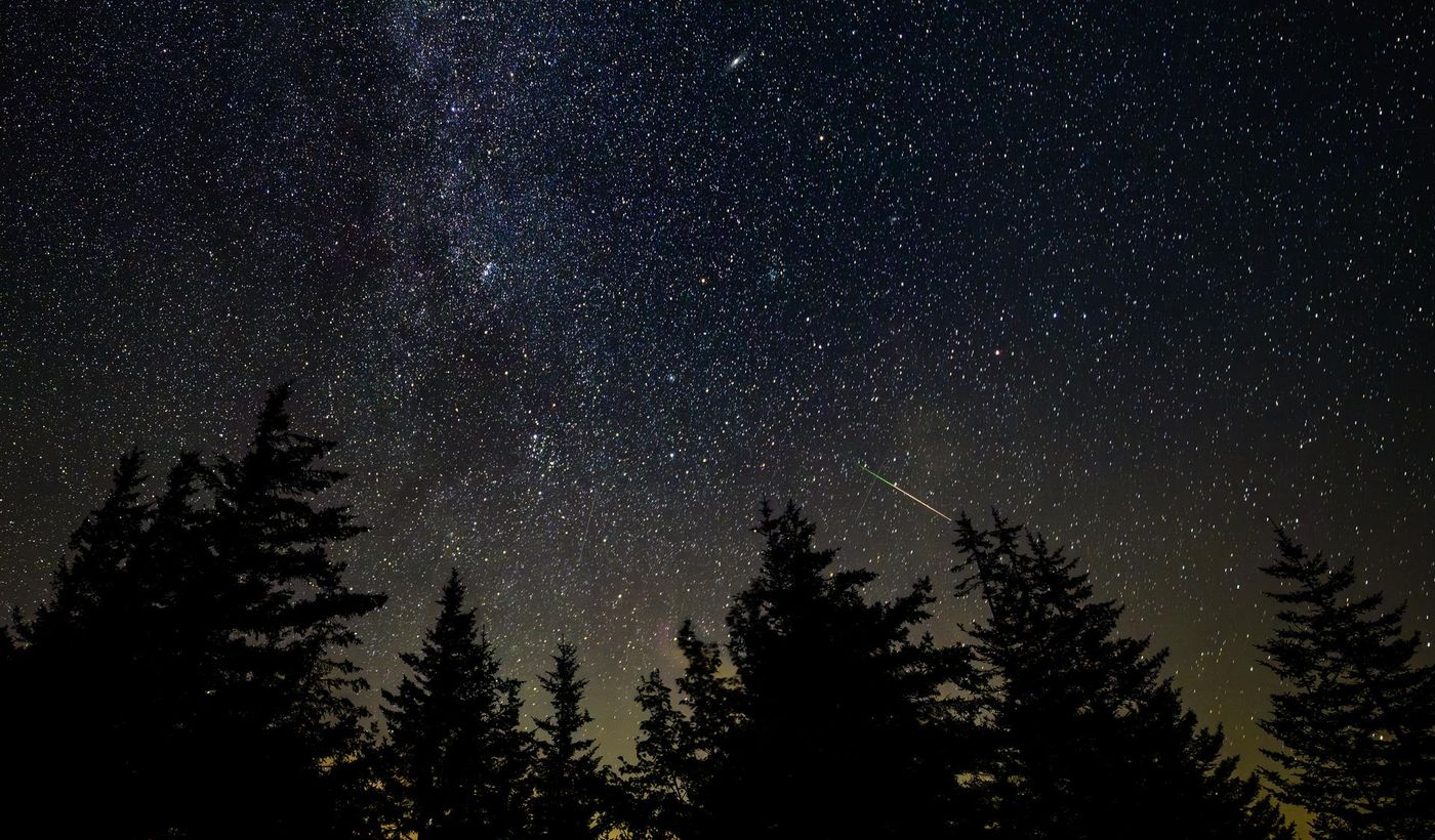 A Perseid meteor streaks past the Milky Way above a pine ridge, the kind of sky the forests north of Houston show on a cold-front night