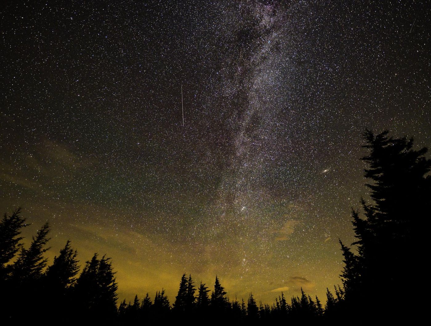The Milky Way standing above a dark tree line with a Perseid meteor, the kind of sky Mount Laguna shows on a clear summer night