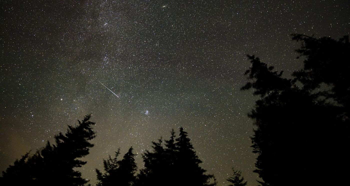 A Perseid meteor crossing the Milky Way above a dark ridge of conifers, the kind of sky the Front Range foothills show on a moonless night