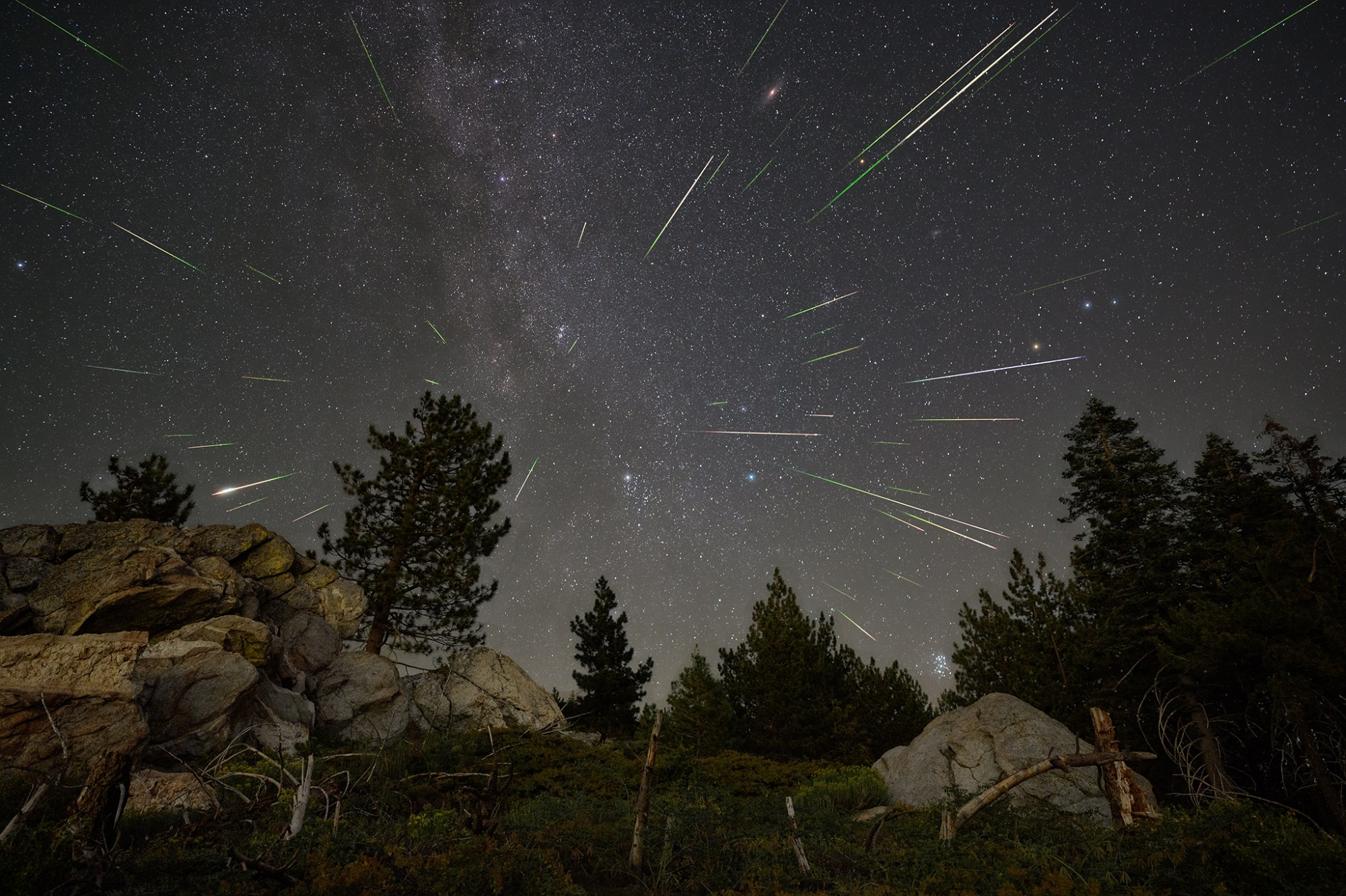 Perseid meteor streaks radiating through a star field at night